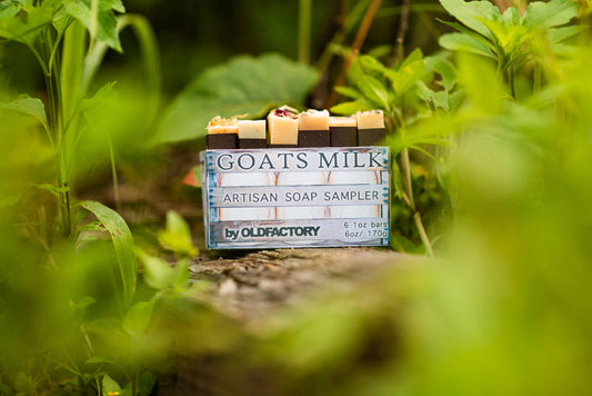Goats Milk Soap Sampler - Six Fresh Scents